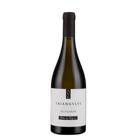 SAUVIGNON LAZIO IGP