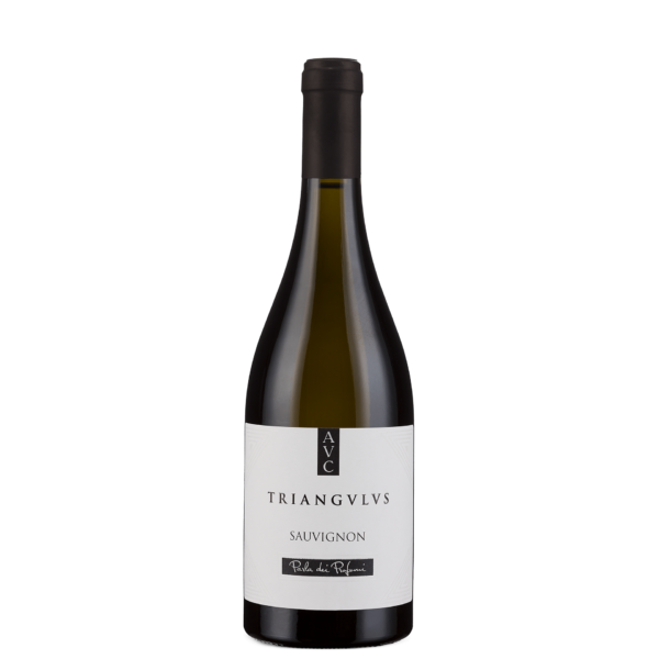SAUVIGNON LAZIO IGP