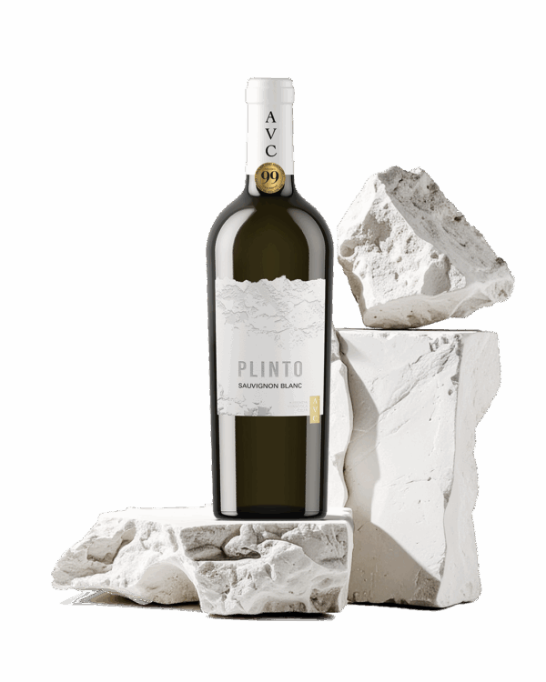 SAUVIGNON BLANC - immagine 2